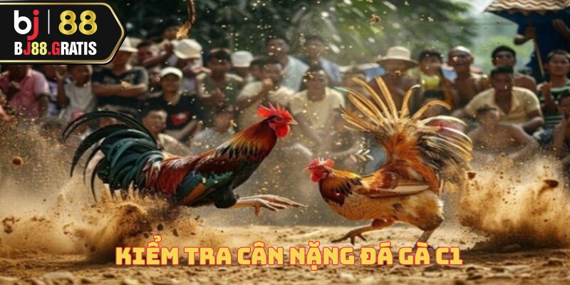 Kinh Nghiệm Đá Gà C1 – Trò Chơi Hấp Dẫn Tại BJ88 2 kinh-nghiem-da-ga-c1