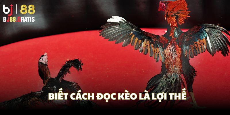 Anh biết cách đọc kèo theo biến động thời gian thực