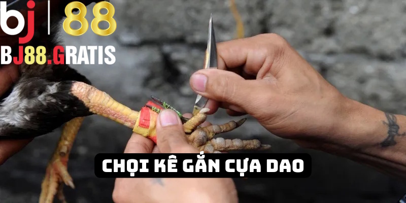 Đá gà cựa dao BJ88 thú vị từng khoảnh khắc