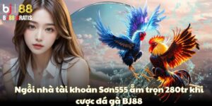 Ngồi nhà tài khoản Sơn555 ẵm trọn 280tr khi cược đá gà BJ88