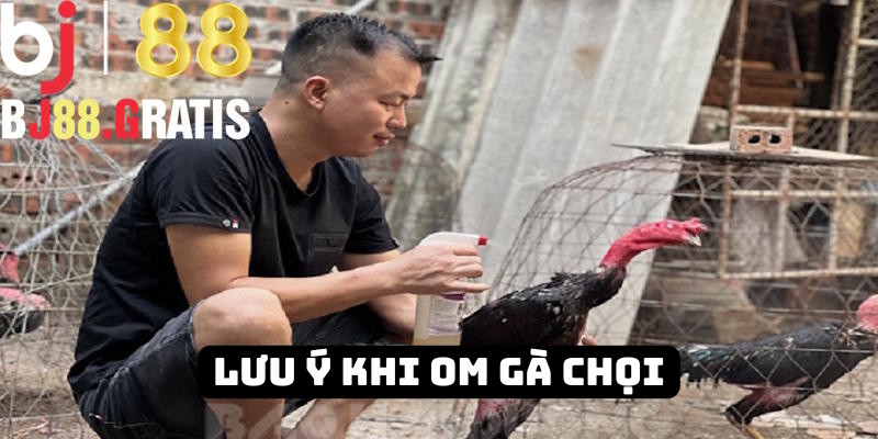 BJ88 nêu rõ lưu ý trong quá trình om gà